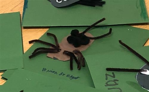 Spiders 